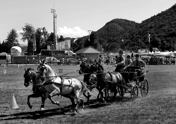 Guca trumpet festival